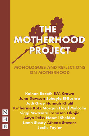 The Motherhood Project - Monologues and Reflections on Motherhood